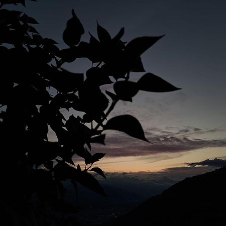 Alt'O Martinets Vendégház Nendaz Kültér fotó