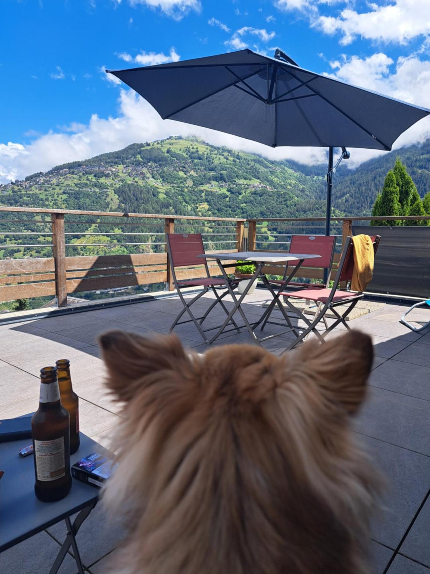 Alt'O Martinets Vendégház Nendaz Kültér fotó