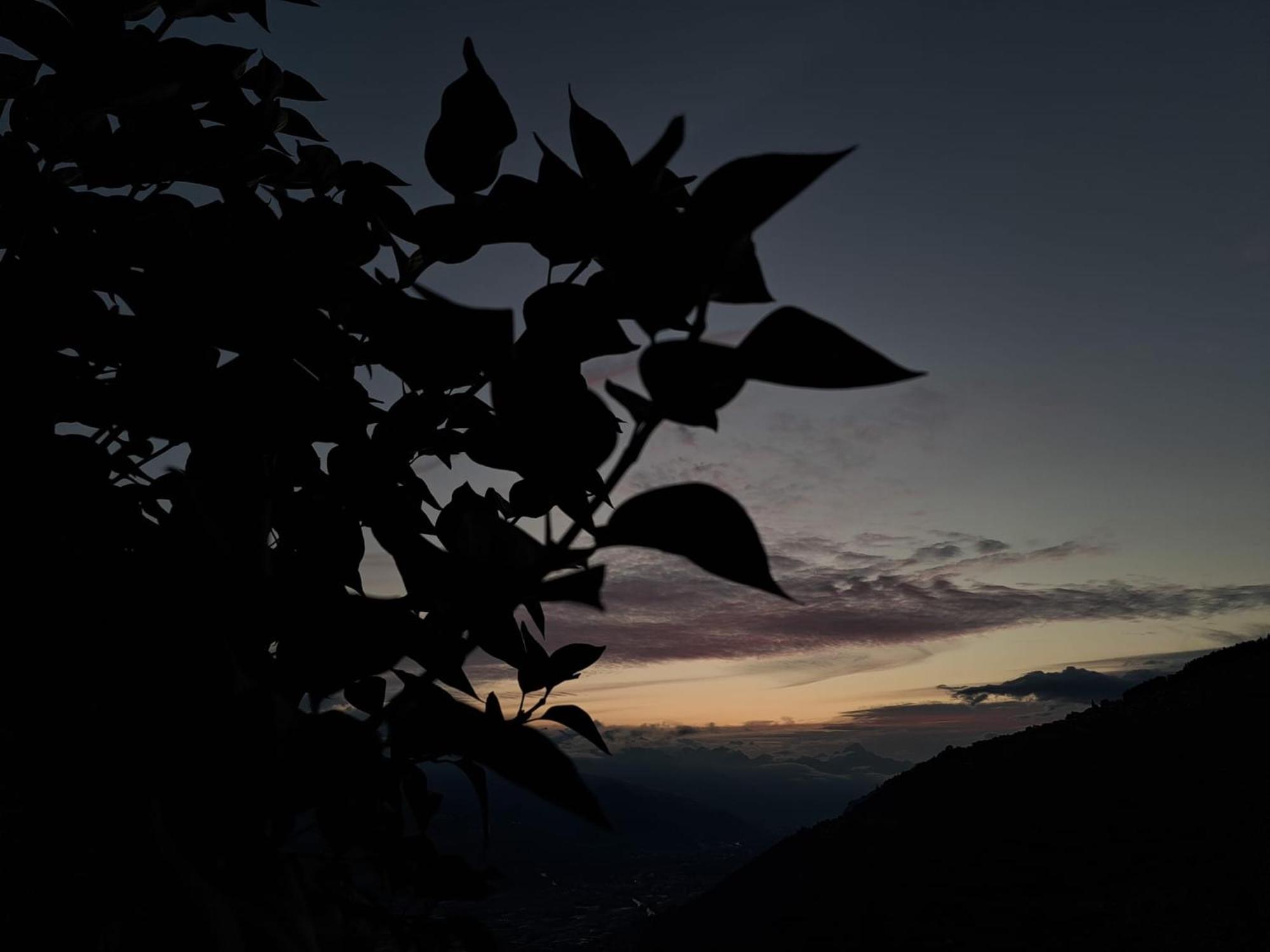 Alt'O Martinets Vendégház Nendaz Kültér fotó